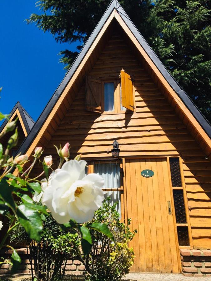 Cabanas Chapelco Сан-Мартін-де-лос-Андес Екстер'єр фото